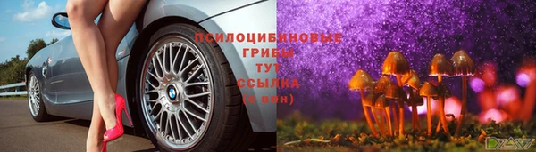 спиды Алексеевка