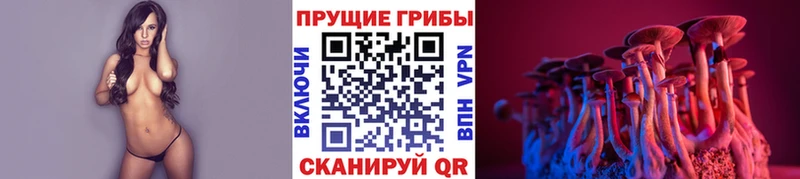 где можно купить наркотик  Анадырь  Галлюциногенные грибы прущие грибы 